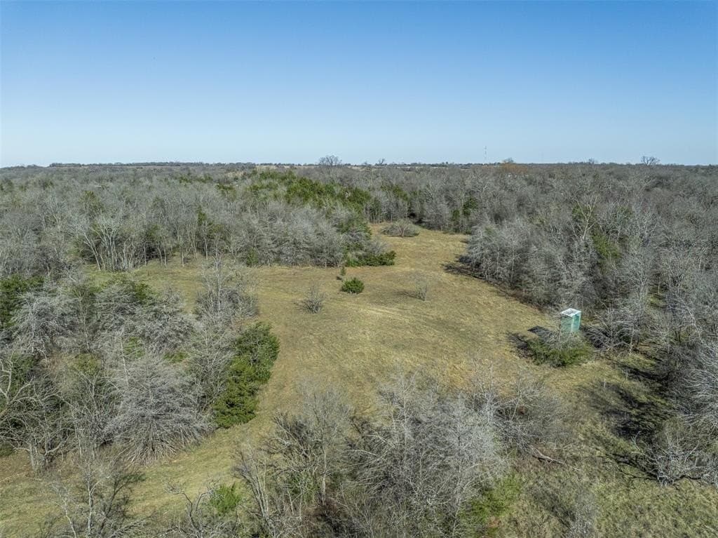 10 acres in Limestone County gallery image 2
