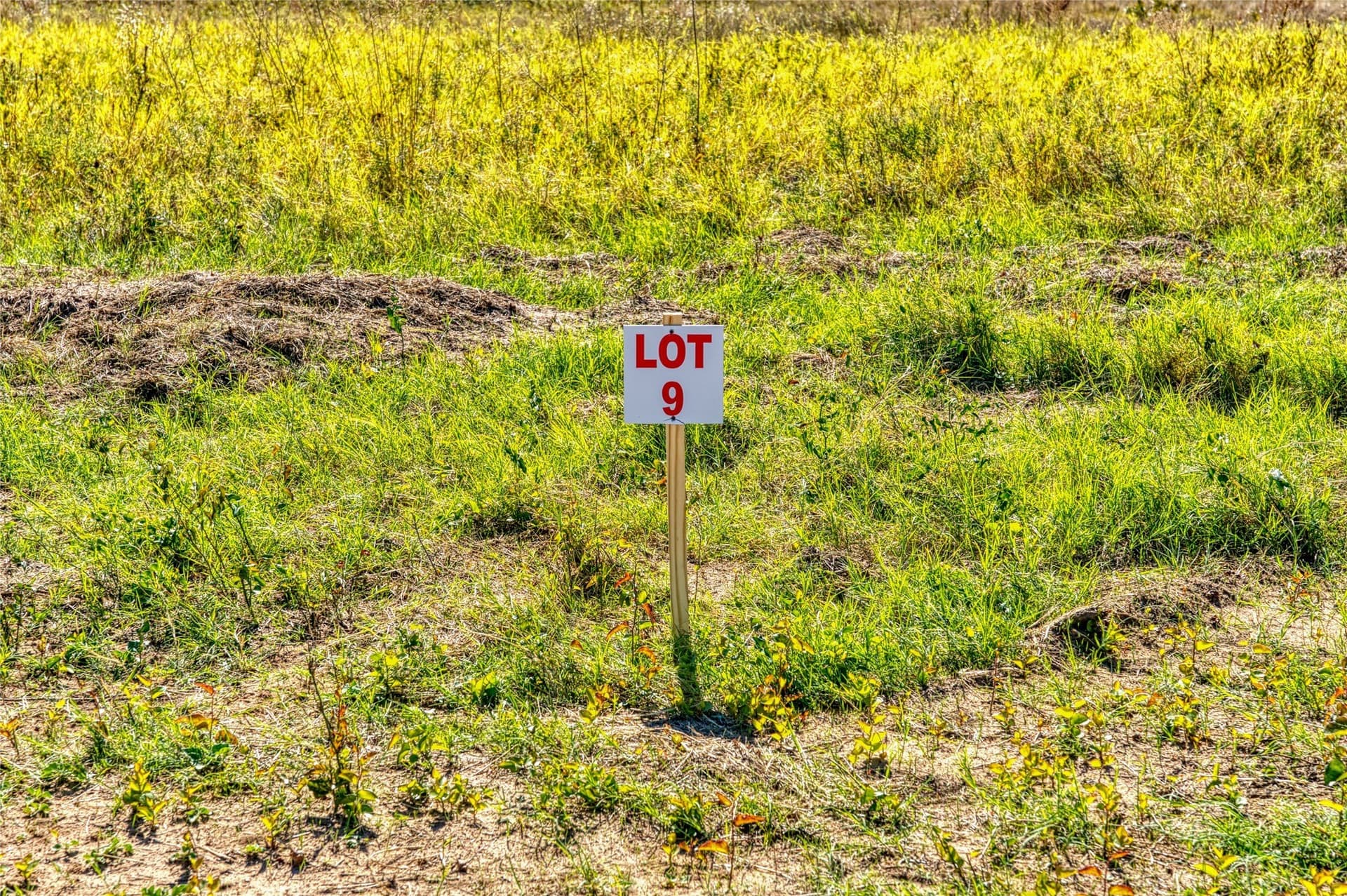 2 acres in Jack County - photo 6