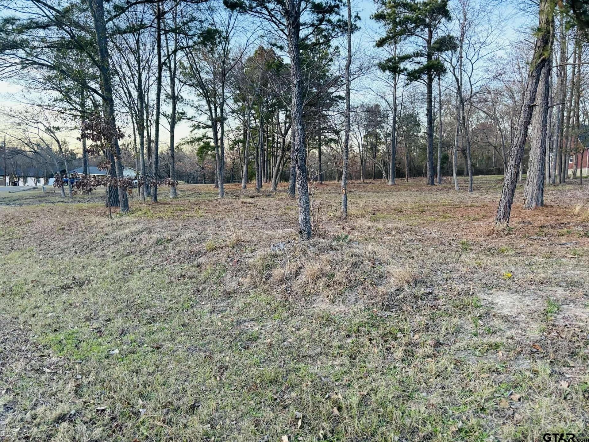 0.64 acres in Wood County - photo 9