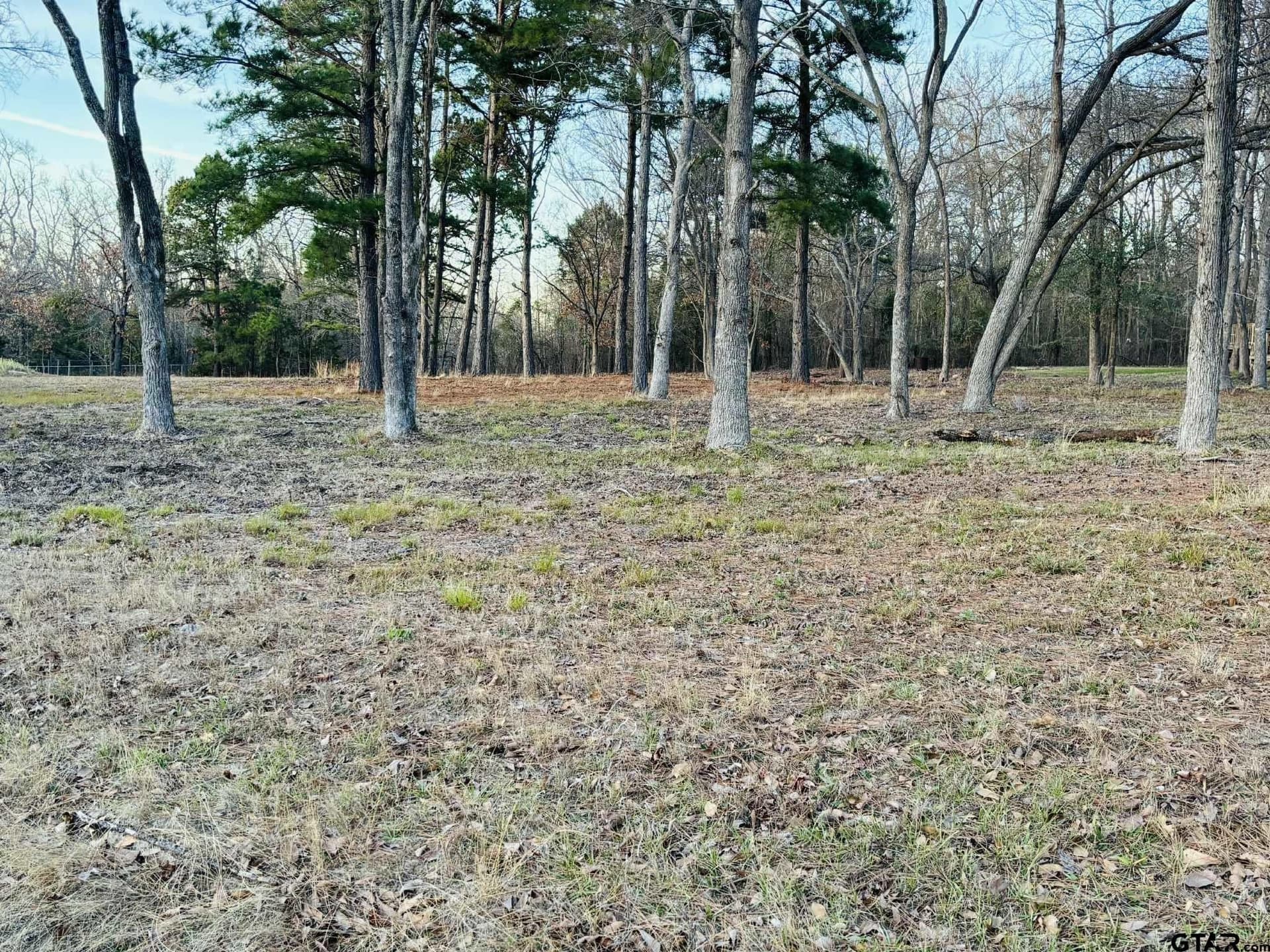 0.64 acres in Wood County - photo 10