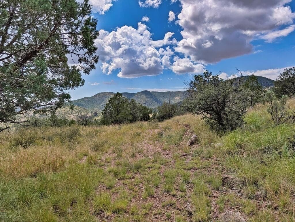 8.55 acres in Jeff Davis County - photo 5