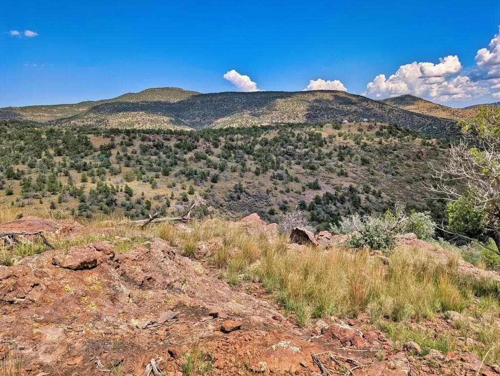 8.55 acres in Jeff Davis County - photo 16