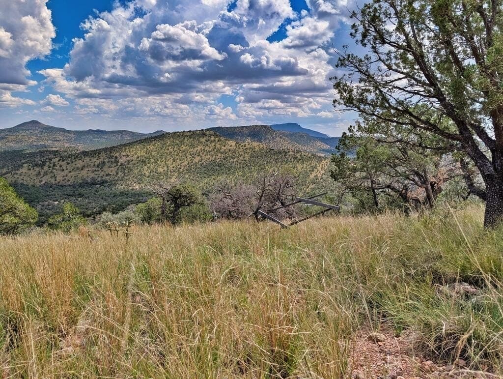 8.55 acres in Jeff Davis County - photo 13