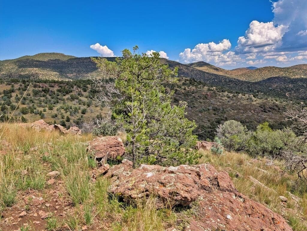 8.55 acres in Jeff Davis County - photo 19