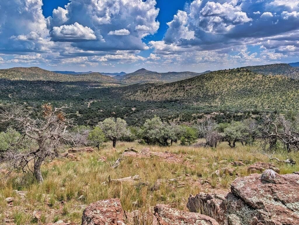 8.55 acres in Jeff Davis County - photo 7