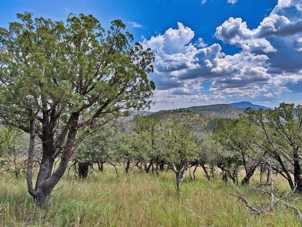 8.55 acres in Jeff Davis County - photo 3