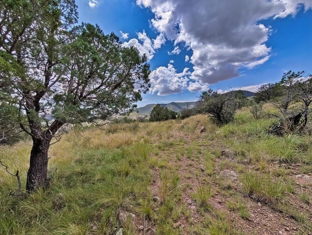 8.55 acres in Jeff Davis County - photo 4