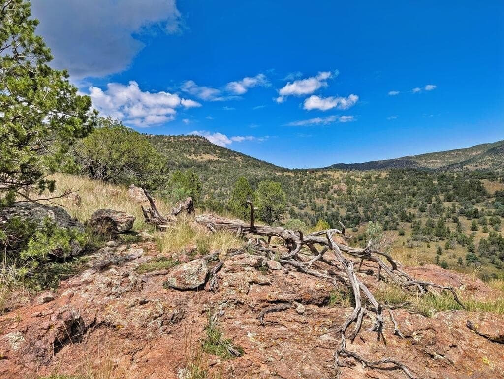 8.55 acres in Jeff Davis County - photo 17