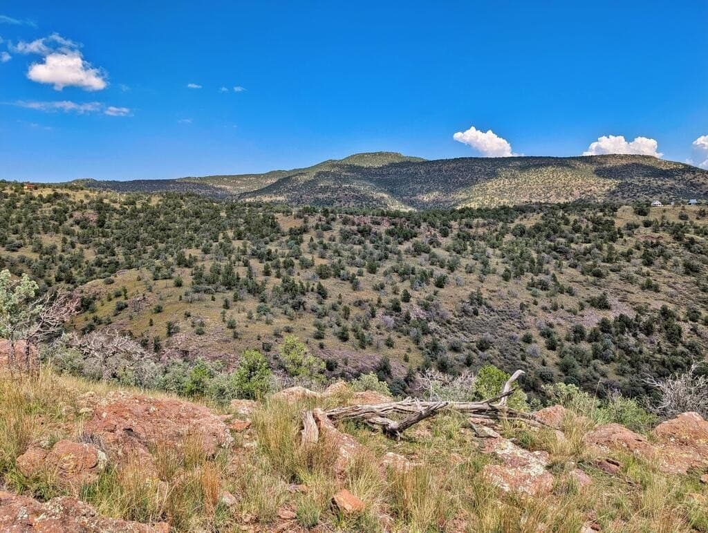 8.55 acres in Jeff Davis County - photo 20