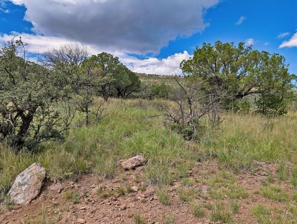 8.55 acres in Jeff Davis County - photo 10