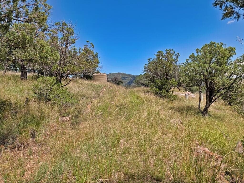 8.55 acres in Jeff Davis County - photo 2