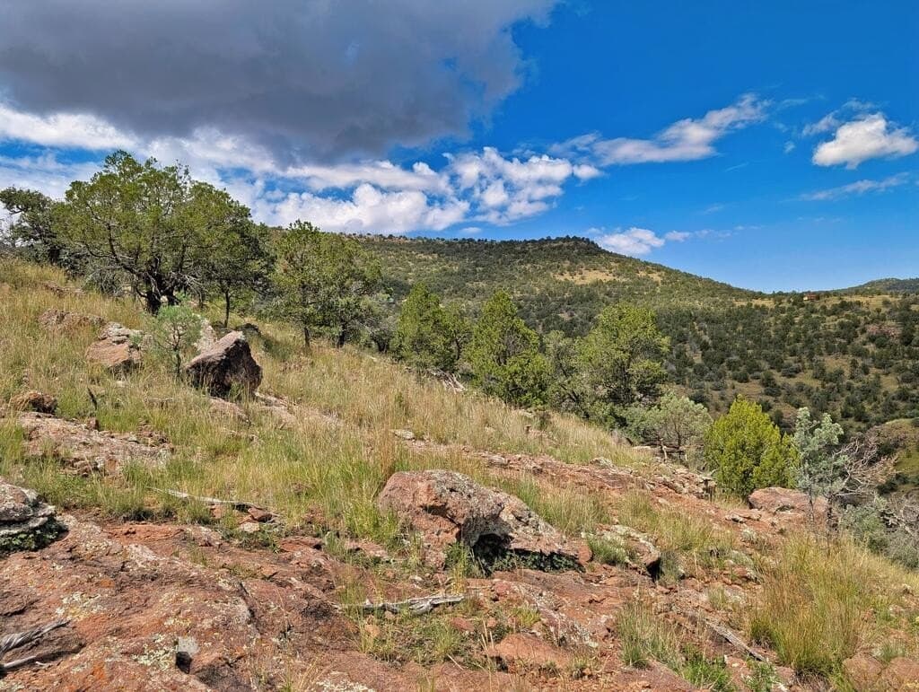 8.55 acres in Jeff Davis County - photo 21
