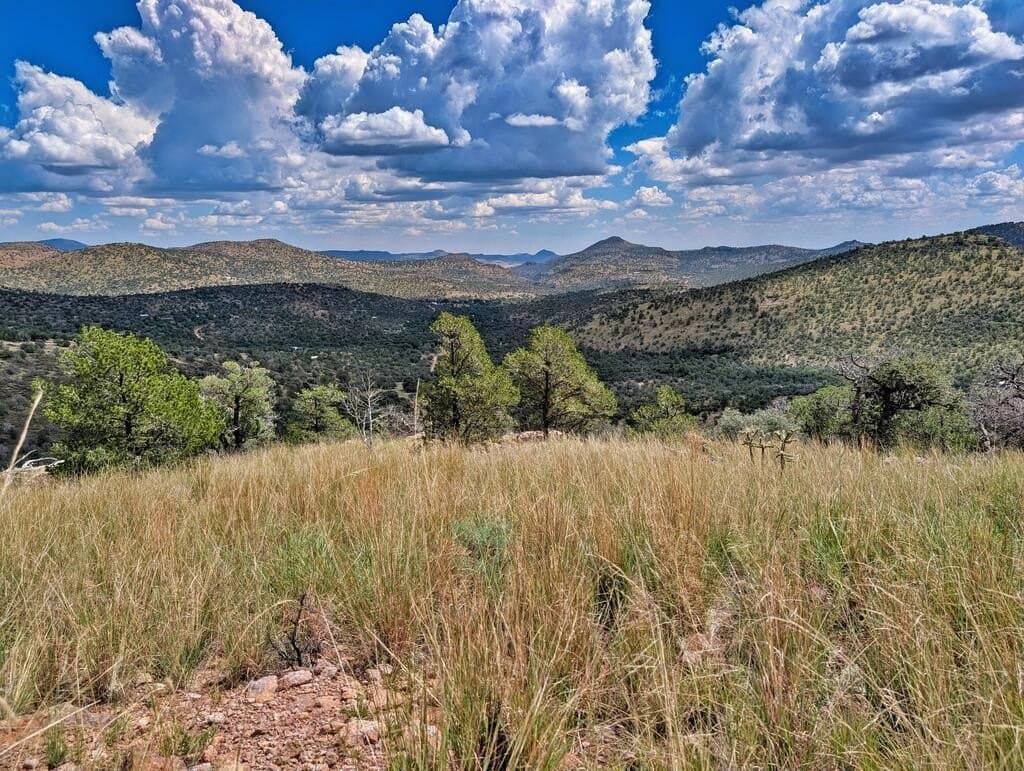 8.55 acres in Jeff Davis County - photo 12