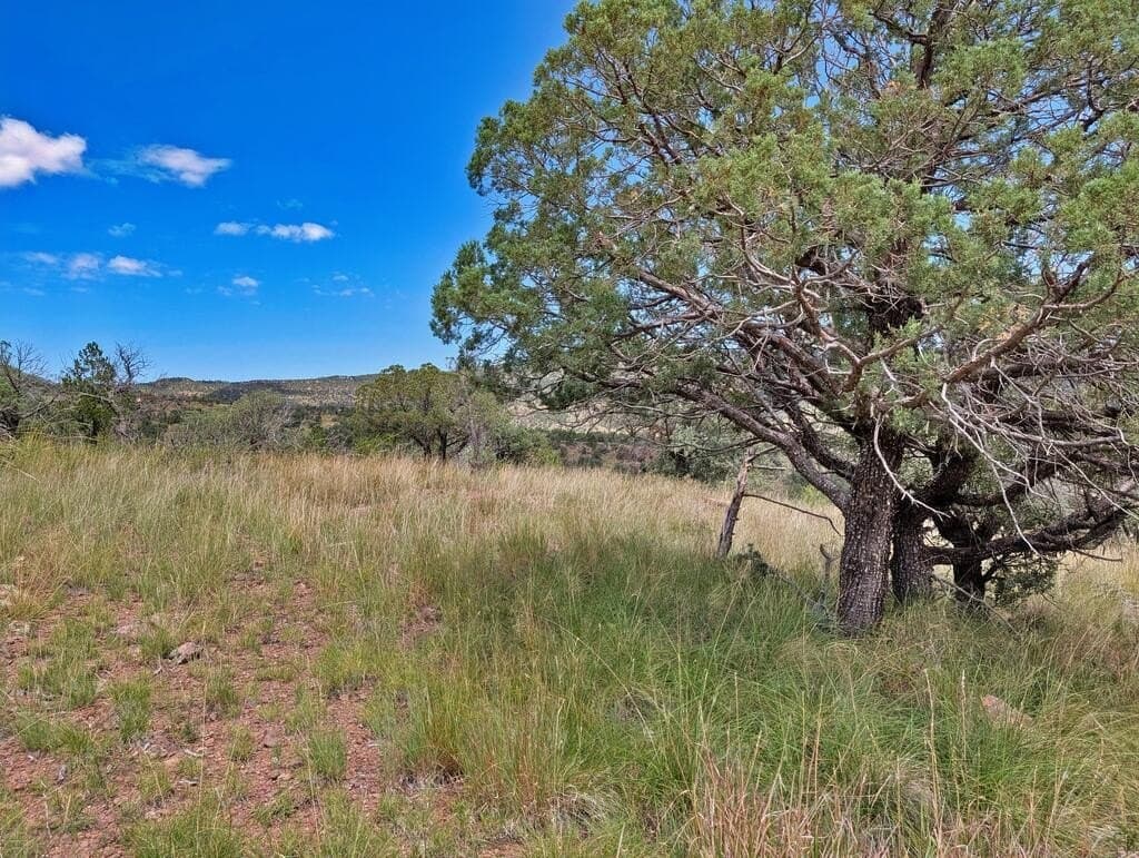 8.55 acres in Jeff Davis County - photo 11
