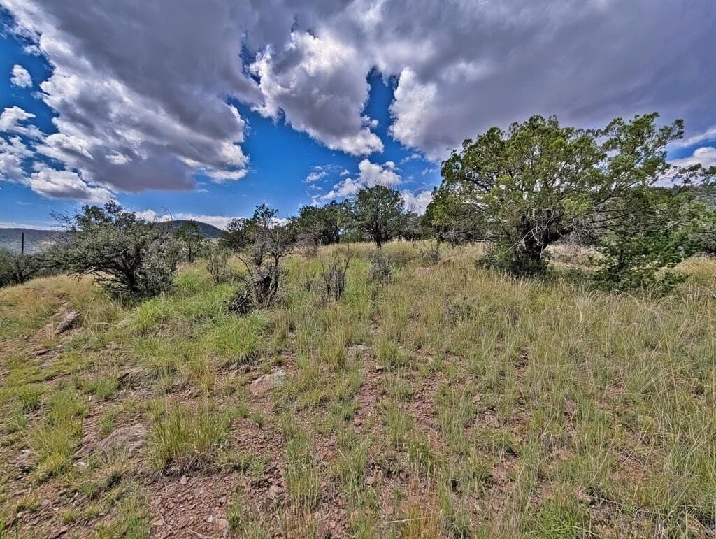 8.55 acres in Jeff Davis County - photo 6
