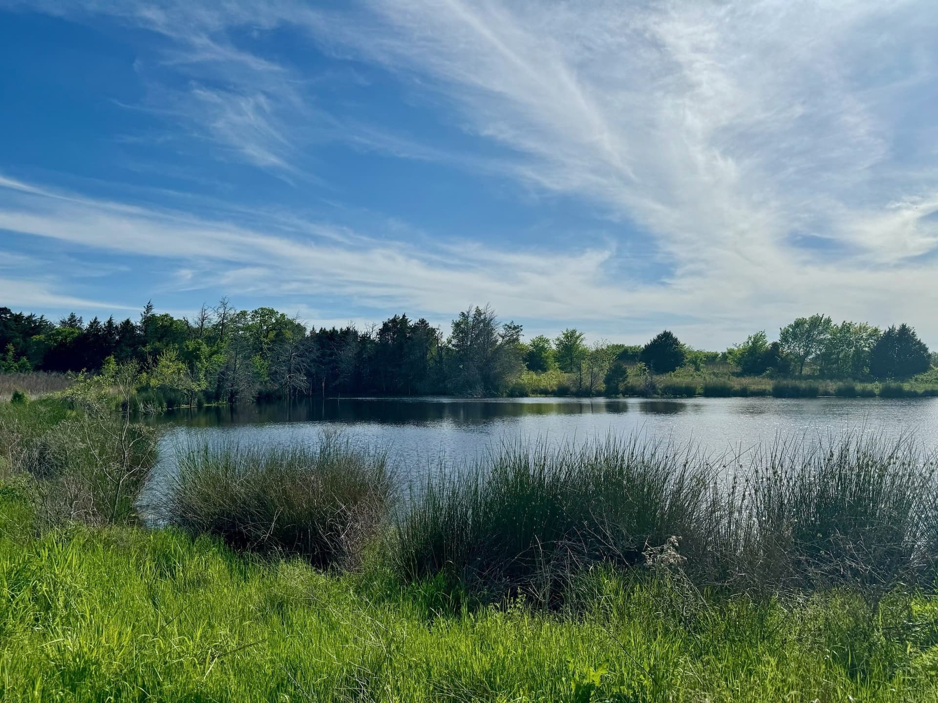 197.51 acres in Grayson County - photo 14