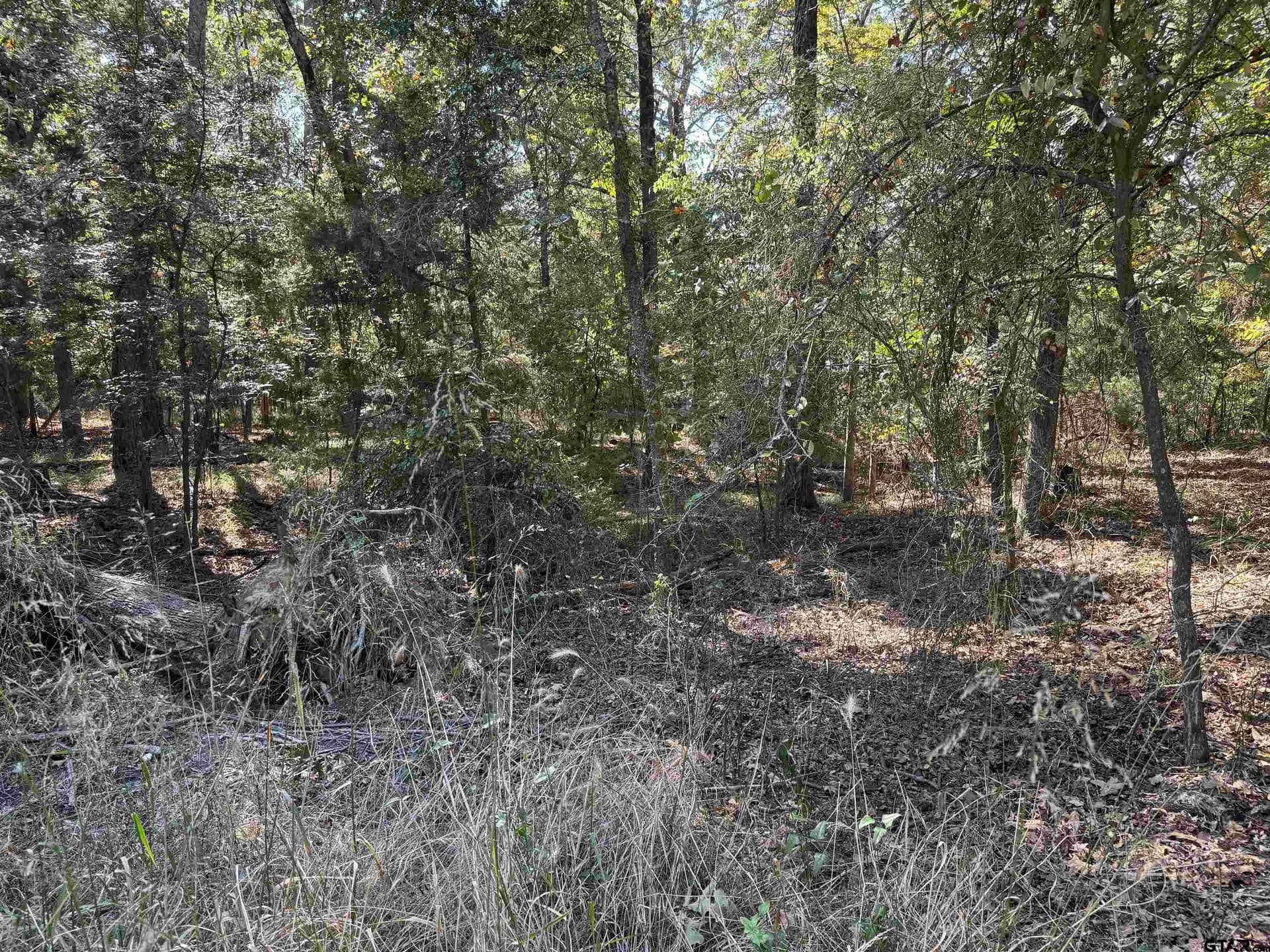 0.22 acres in Franklin County gallery image 2