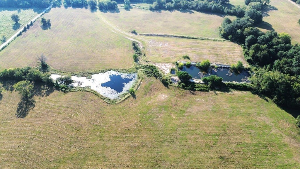 74.3 acres in Texas County gallery image 4