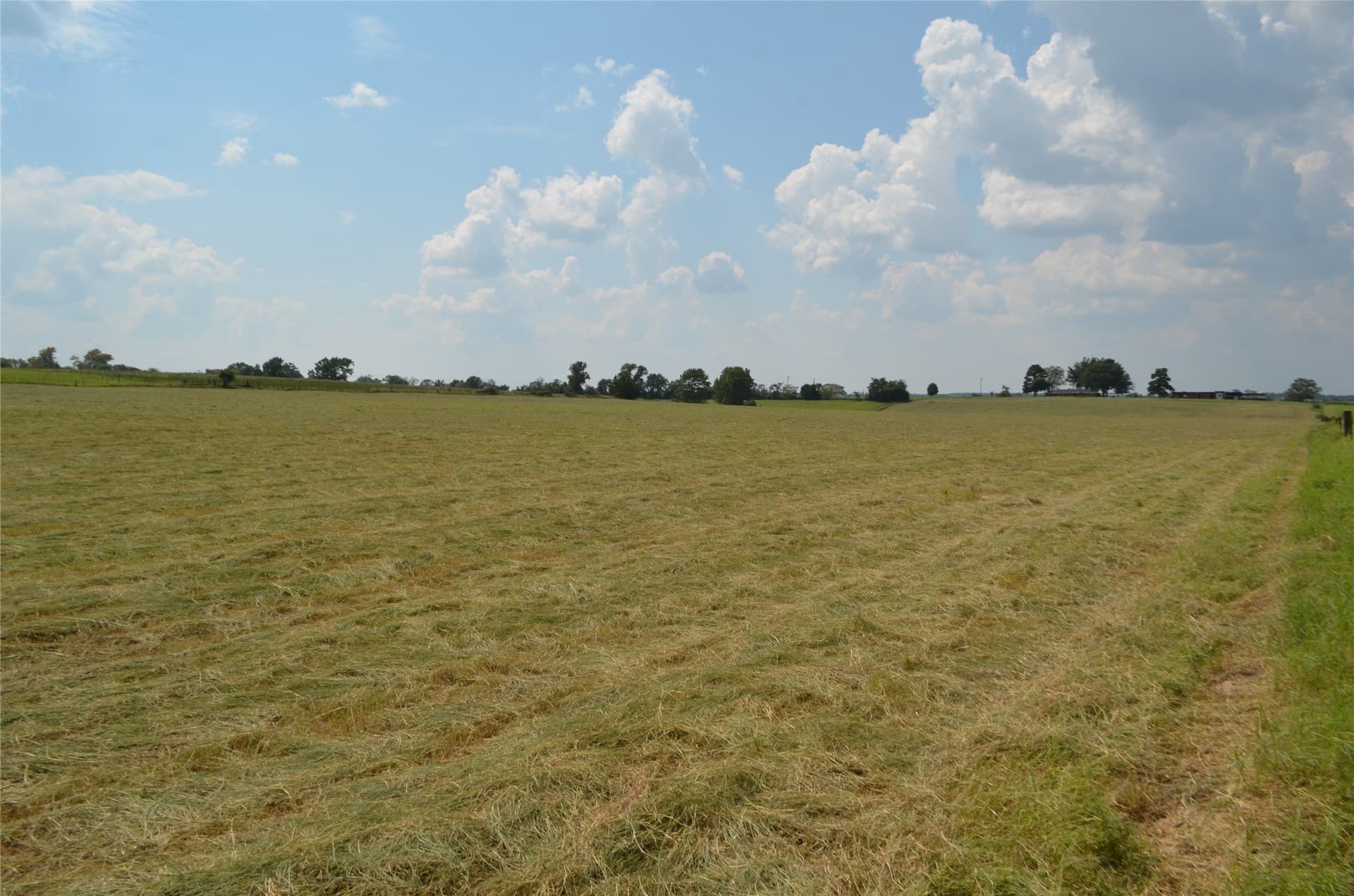 50 acres in Henderson County - photo 6