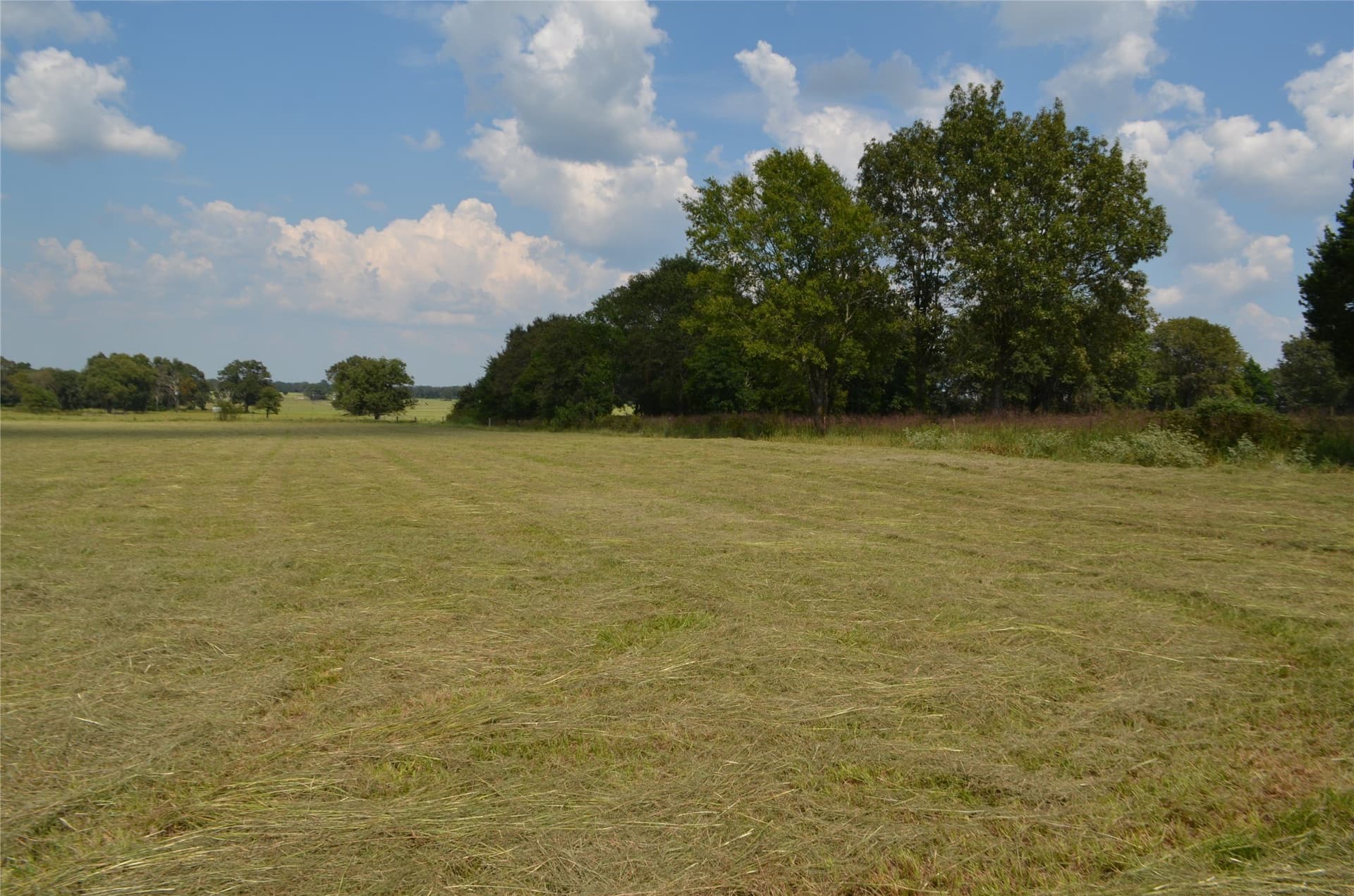 50 acres in Henderson County gallery image 3