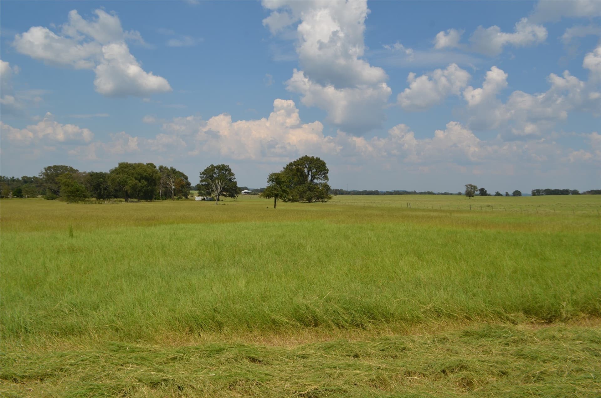 50 acres in Henderson County gallery image 4