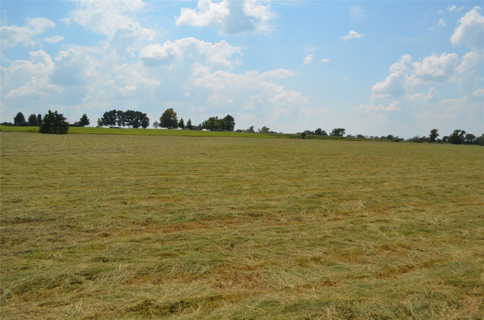 50 acres in Henderson County - photo 7