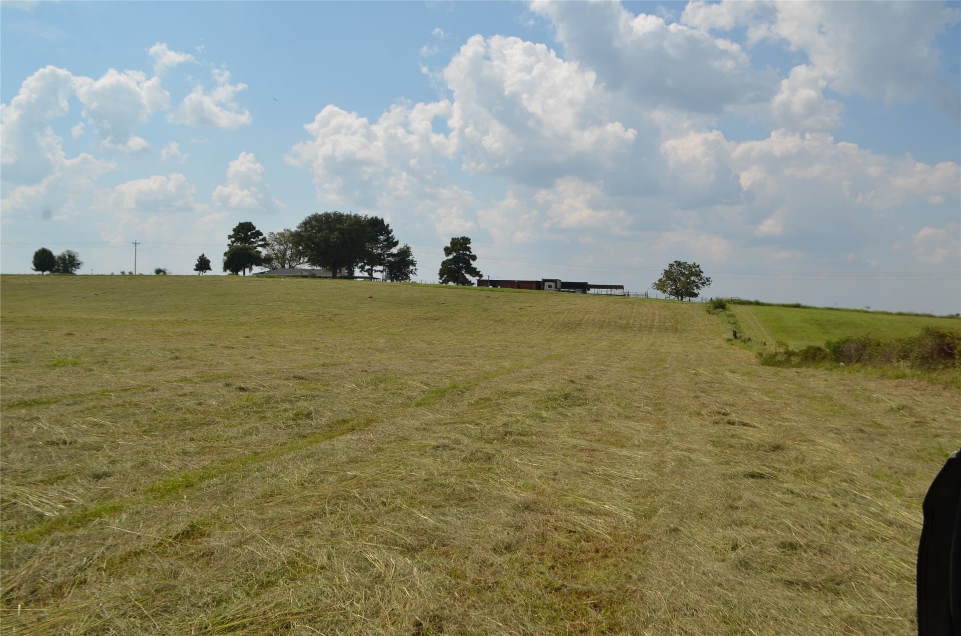 50 acres in Henderson County - photo 9