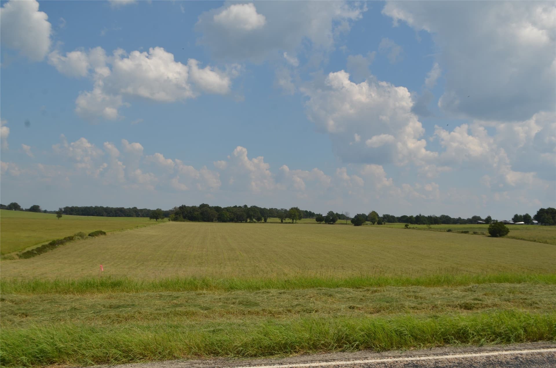 50 acres in Henderson County - photo 11