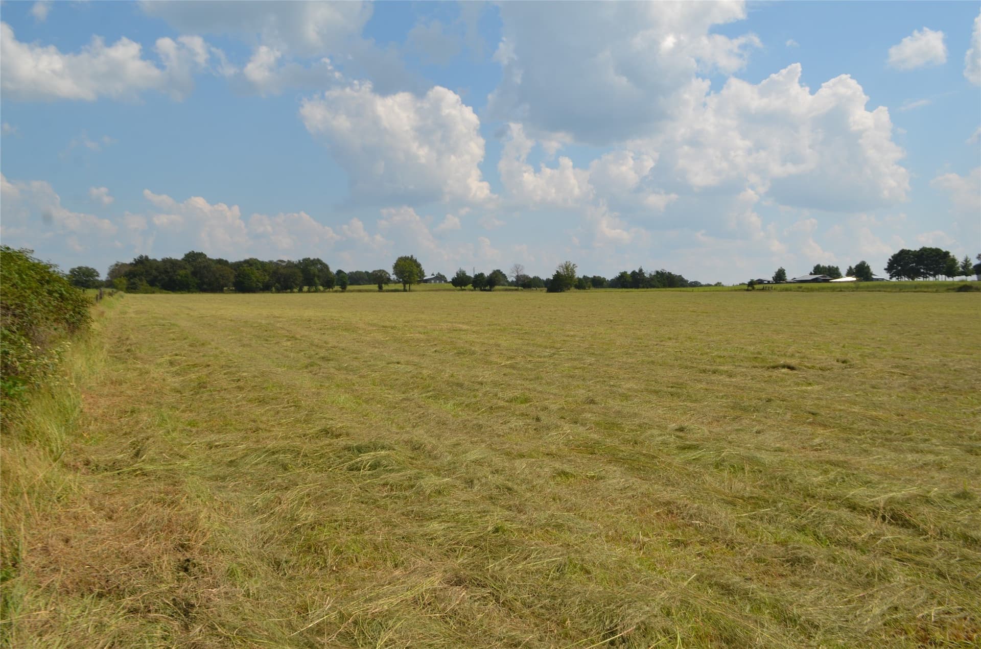 50 acres in Henderson County - photo 8