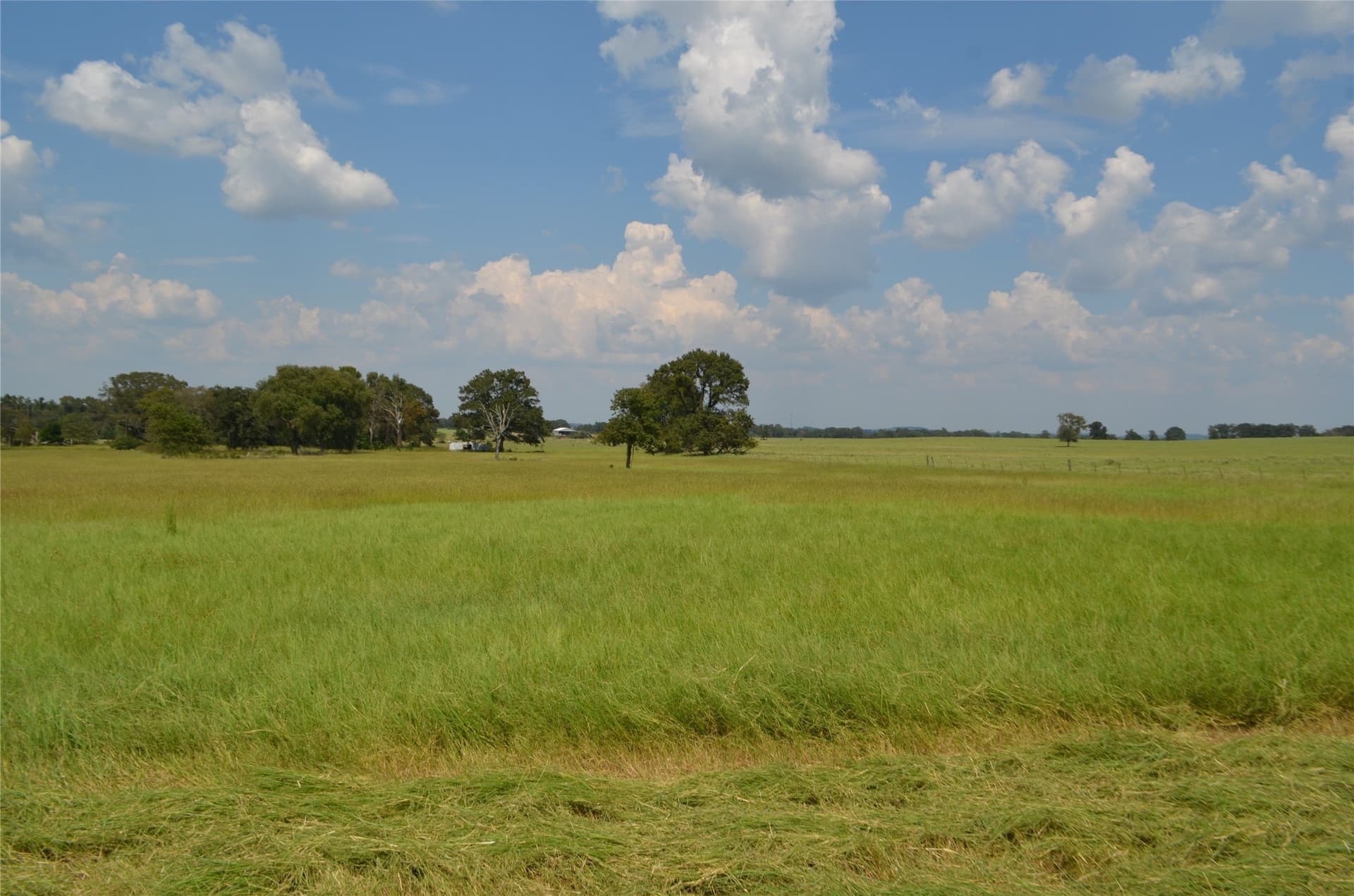 50 acres in Henderson County featured view