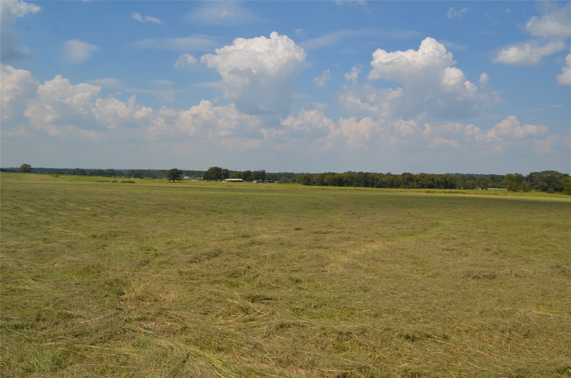 50 acres in Henderson County gallery image 2