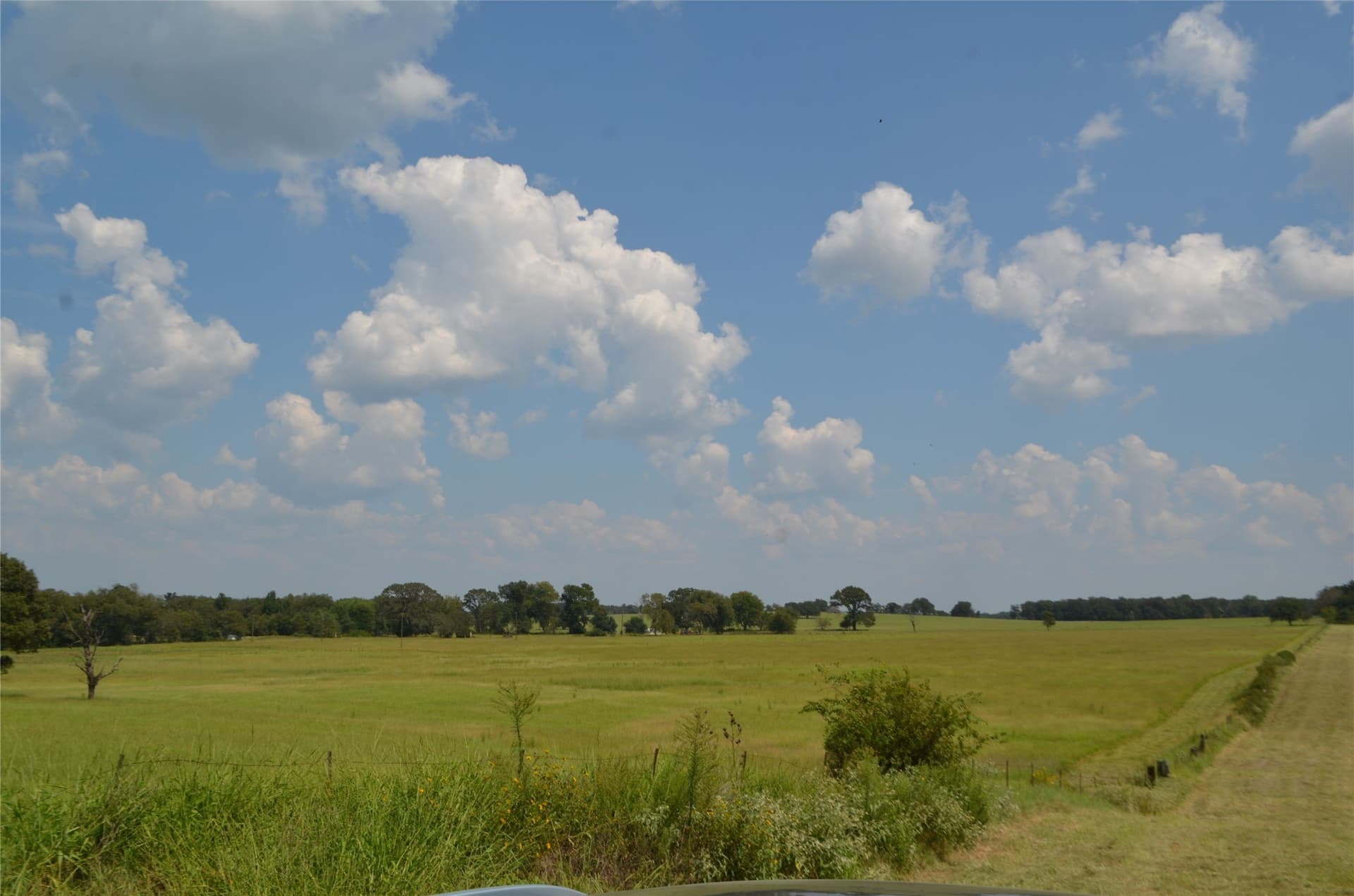 50 acres in Henderson County - photo 10