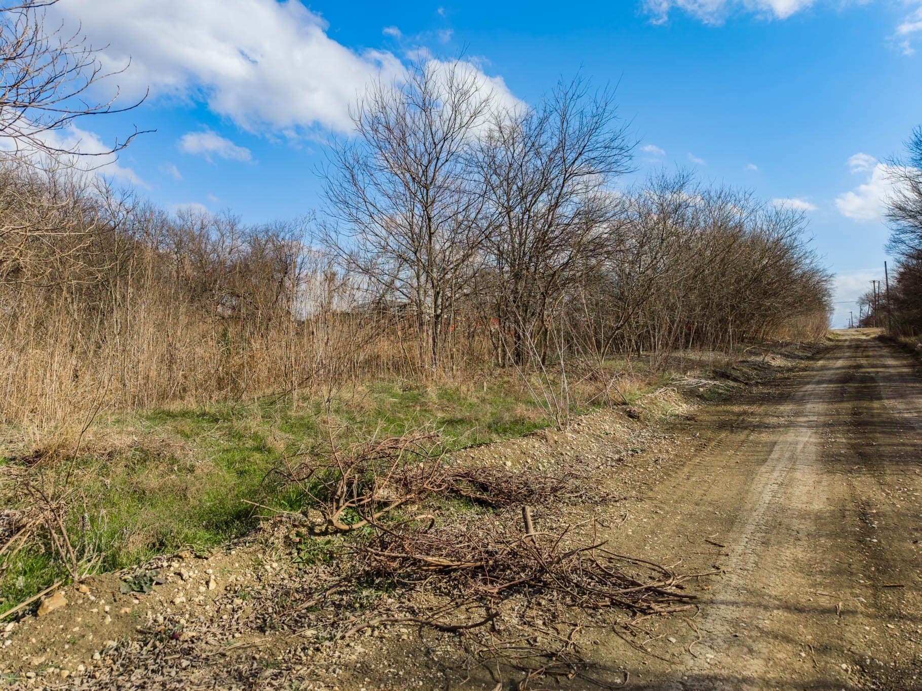 0.19 acres in Hill County gallery image 3