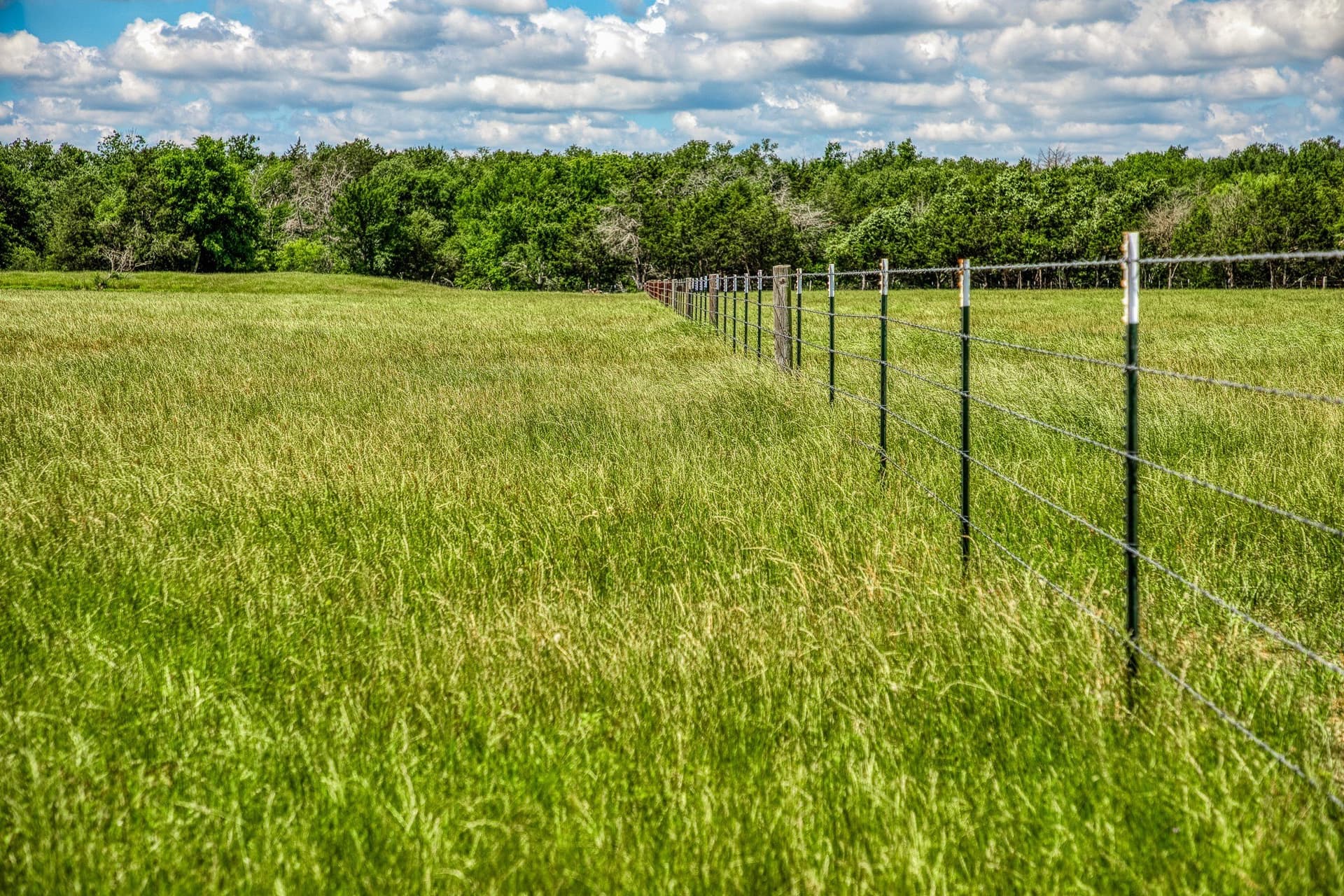 23.72 acres in Limestone County - photo 4