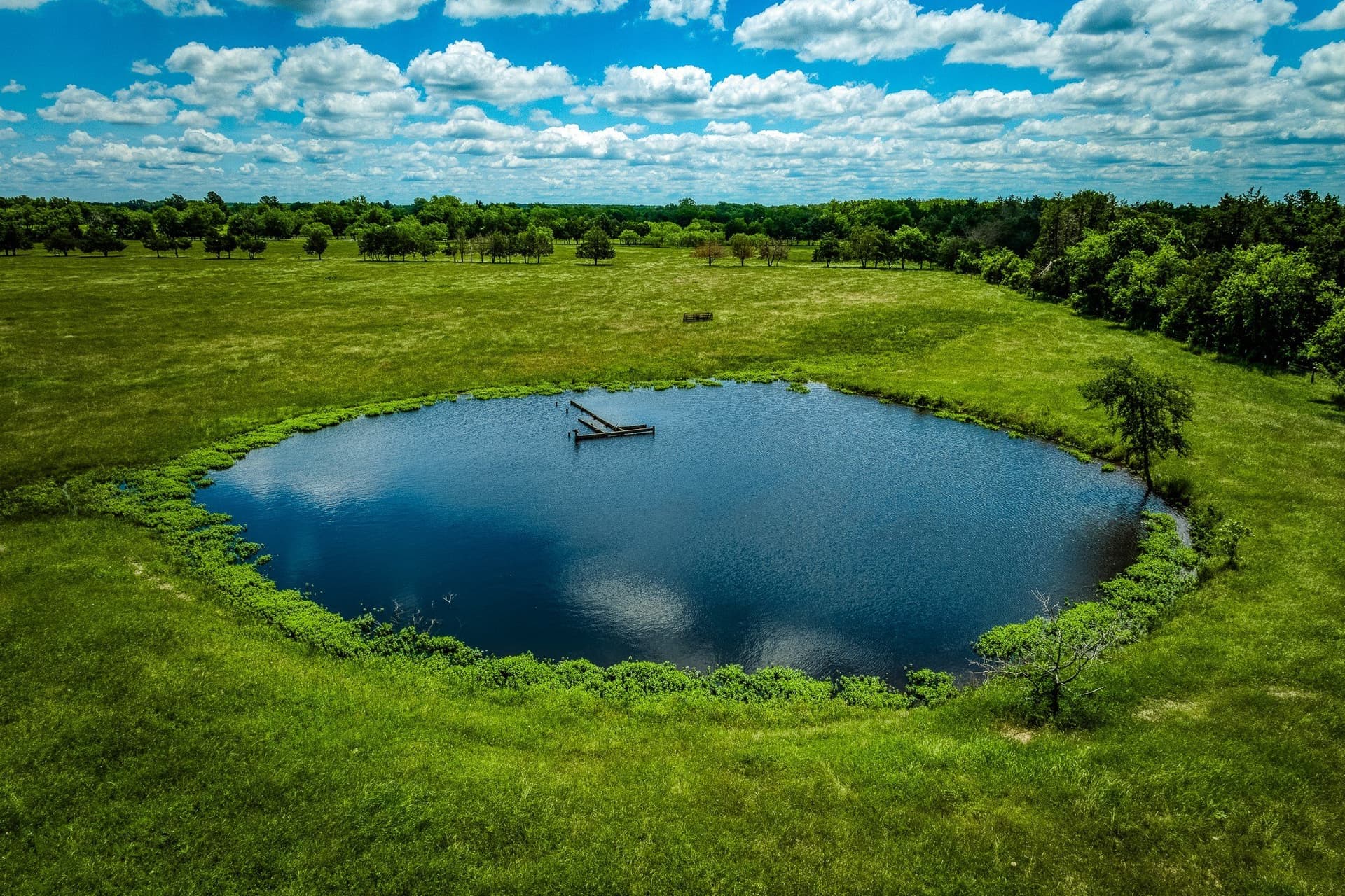 23.72 acres in Limestone County - photo 34