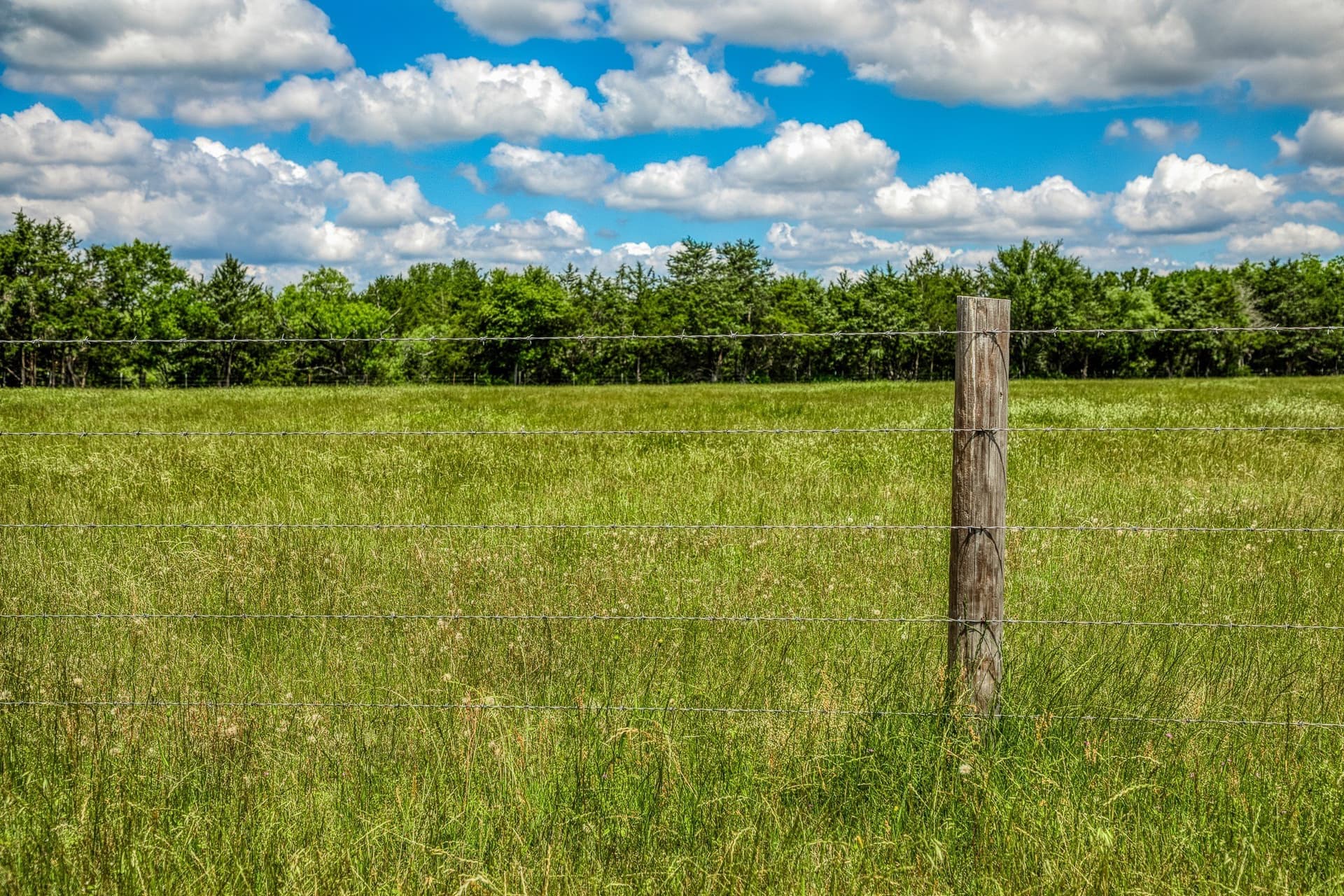 23.72 acres in Limestone County - photo 37