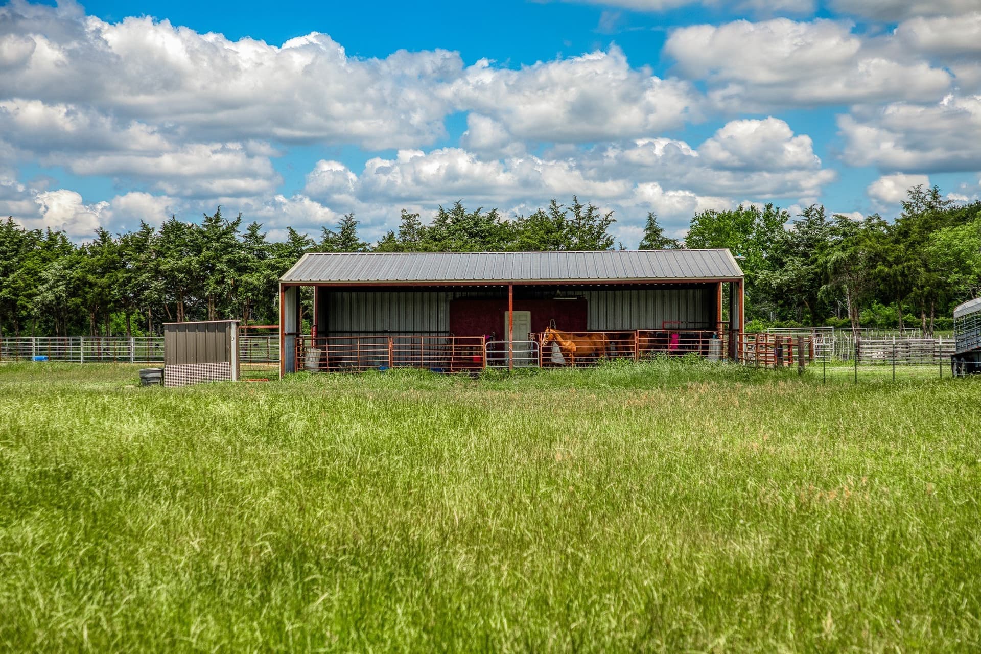 23.72 acres in Limestone County - photo 29