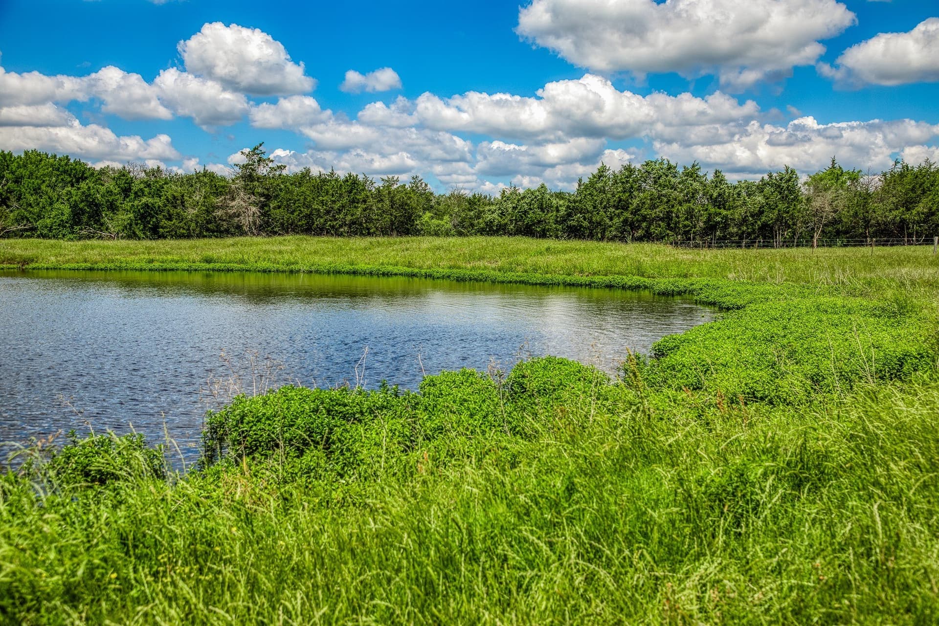 23.72 acres in Limestone County - photo 2