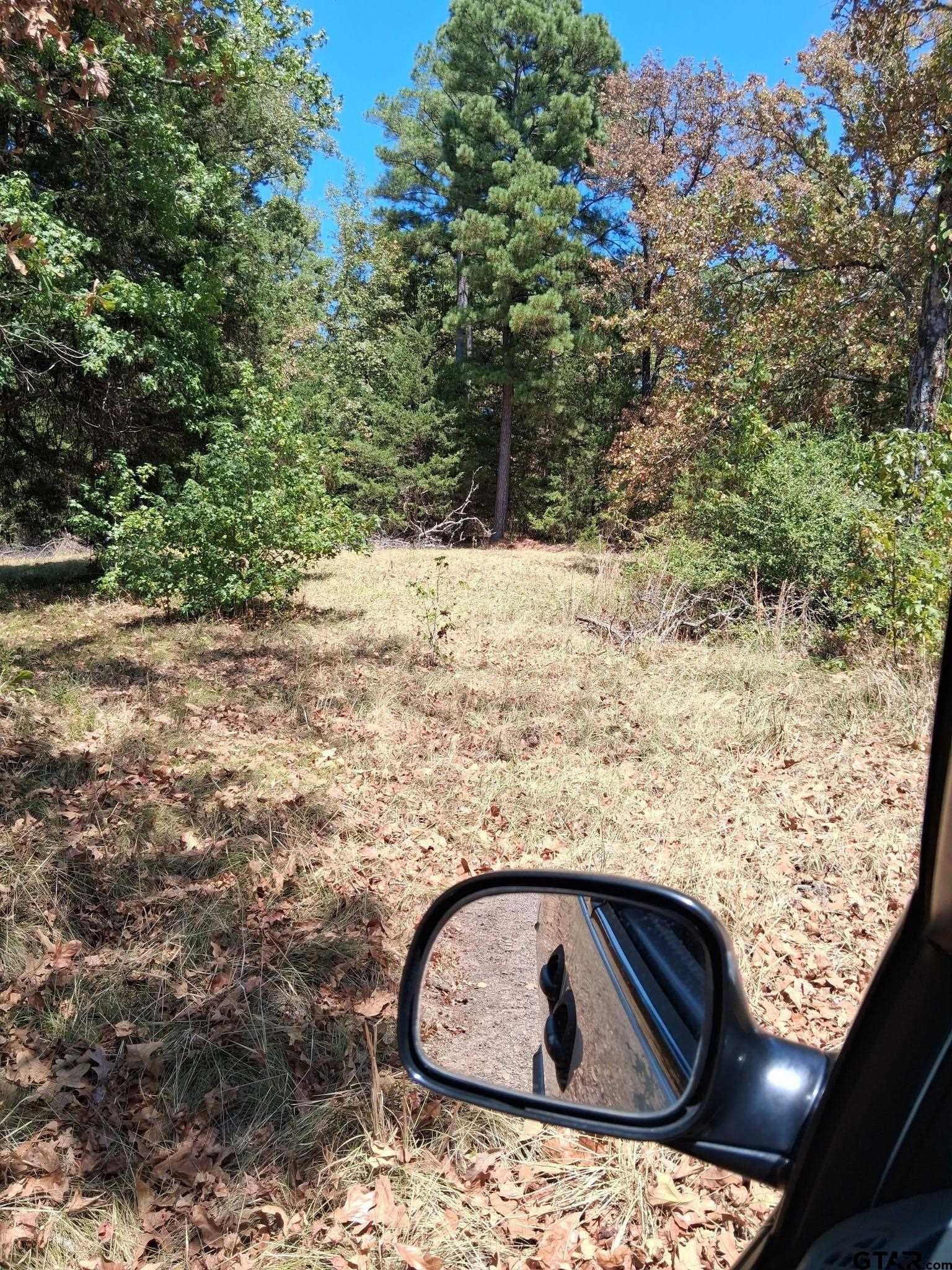 0.81 acres in Upshur County - photo 6