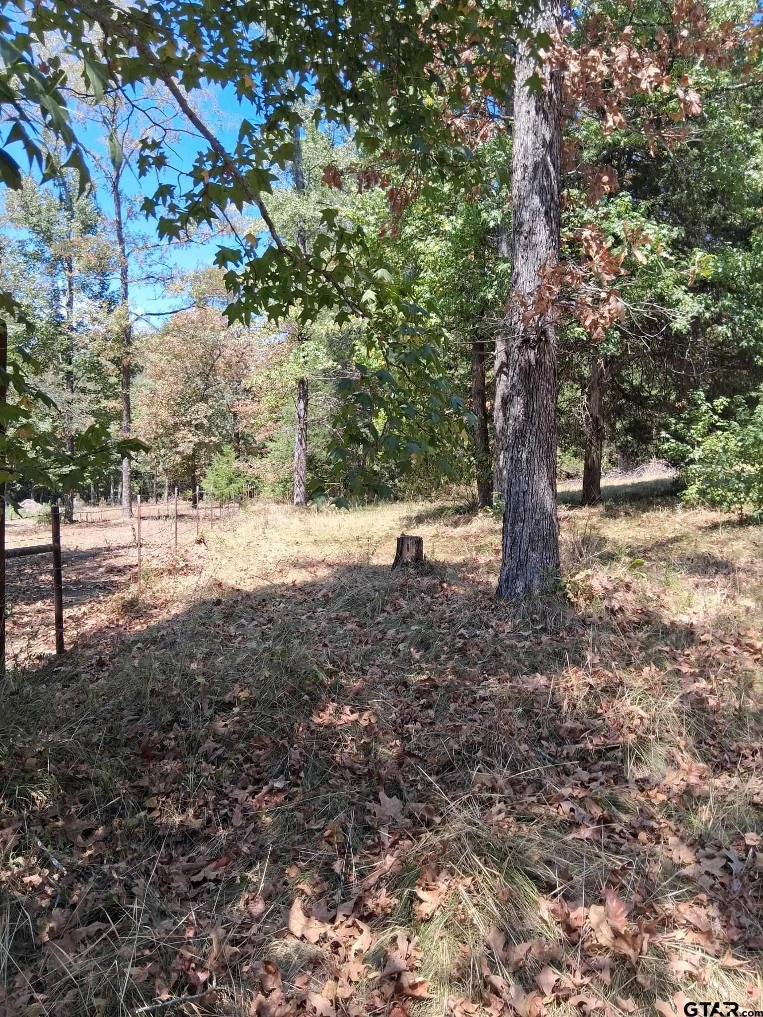 0.81 acres in Upshur County - photo 2