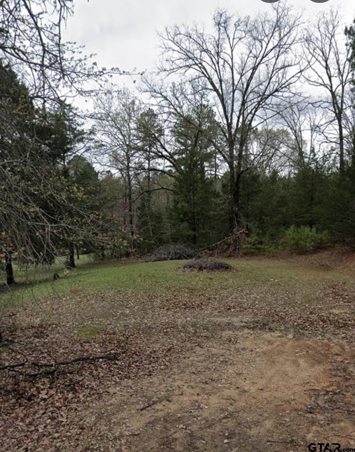 0.81 acres in Upshur County - photo 3