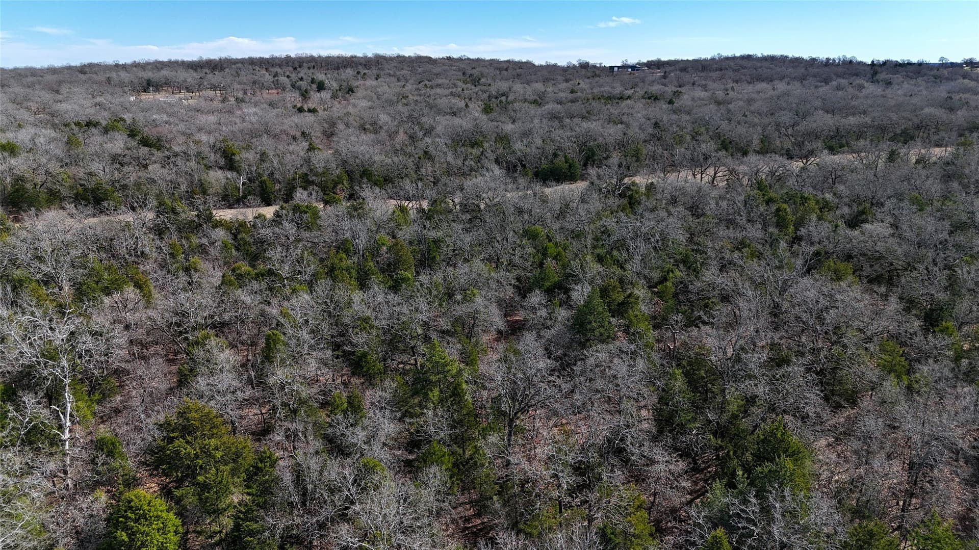 27.43 acres in Henderson County - photo 14