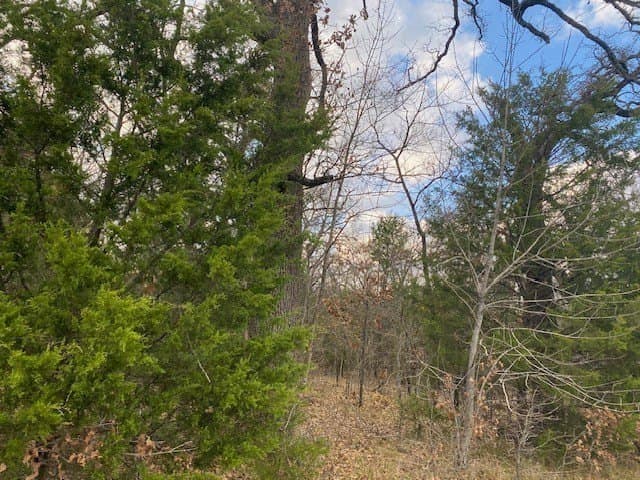 27.43 acres in Henderson County - photo 2