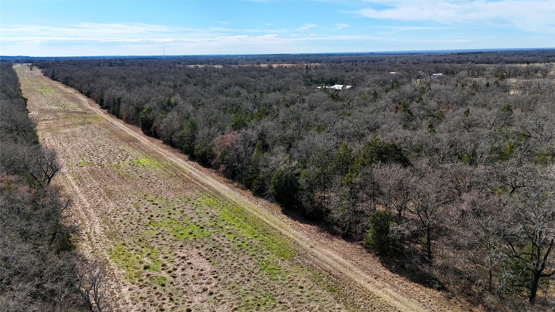 27.43 acres in Henderson County - photo 6