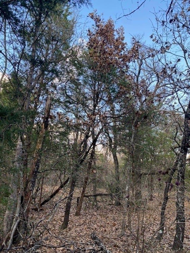 27.43 acres in Henderson County - photo 4