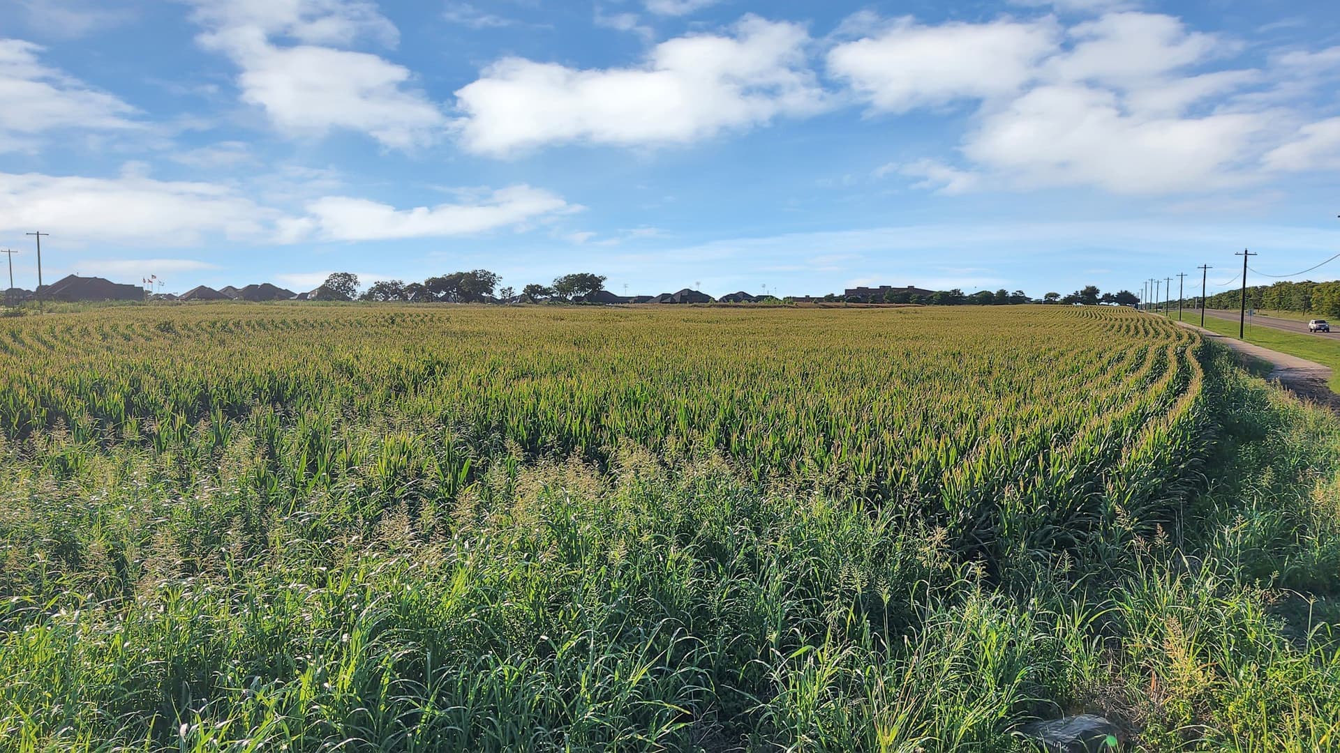 7.5 acres in Grayson County - photo 30