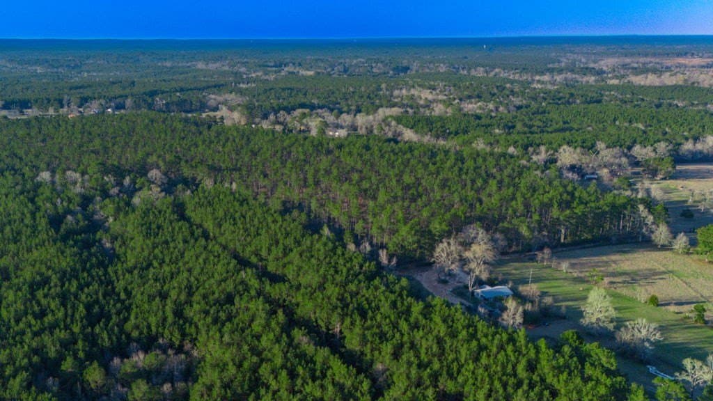 47 acres in Texas County - photo 10