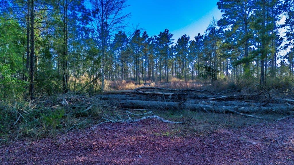 47 acres in Texas County - photo 6