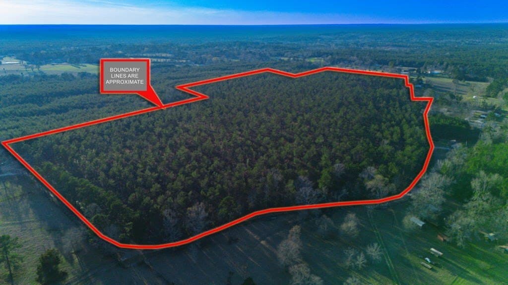 47 acres in Texas County - photo 9