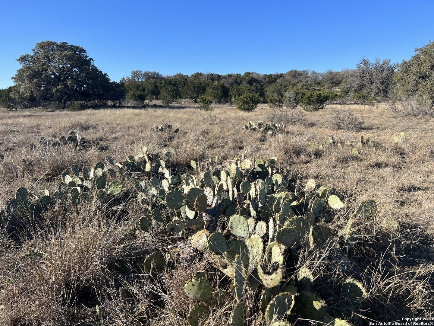 2.78 acres in Bandera County - photo 16